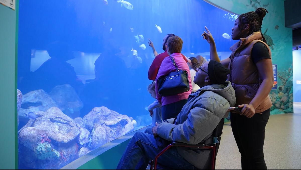 Accessibility National Mississippi River Museum & Aquarium